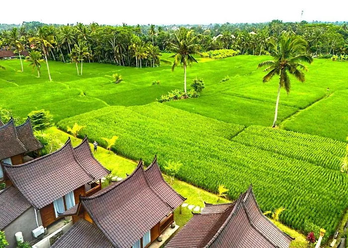 Mathura ウブド